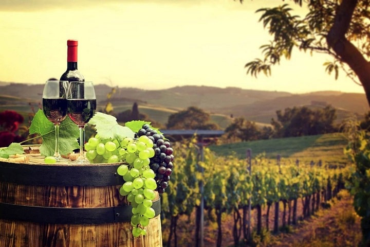 Bizarre wine terms decoded