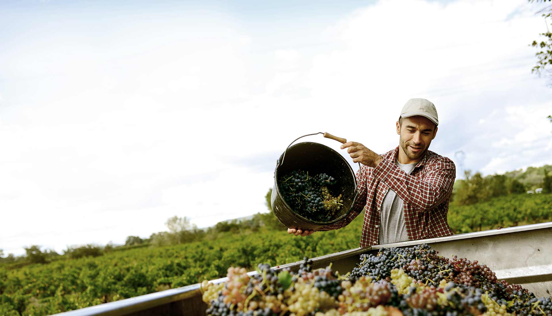 12 Italian terms wine lovers should know